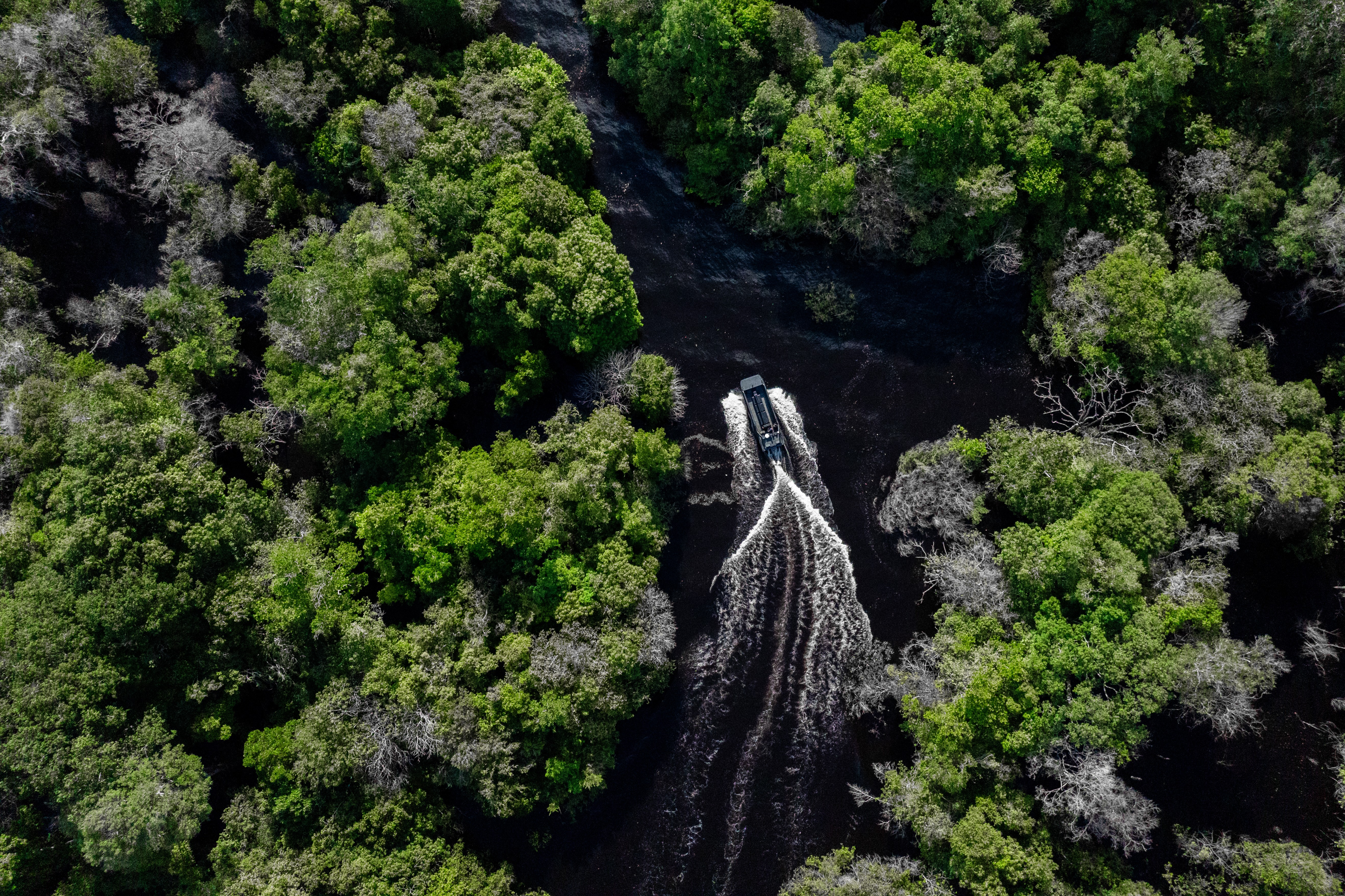 Amazônia é destaque em campanha mundial de publicidade da Volvo Penta